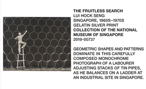 SUSTAINABLE SUNGLASSES by MuseumMartket x Paper Shades