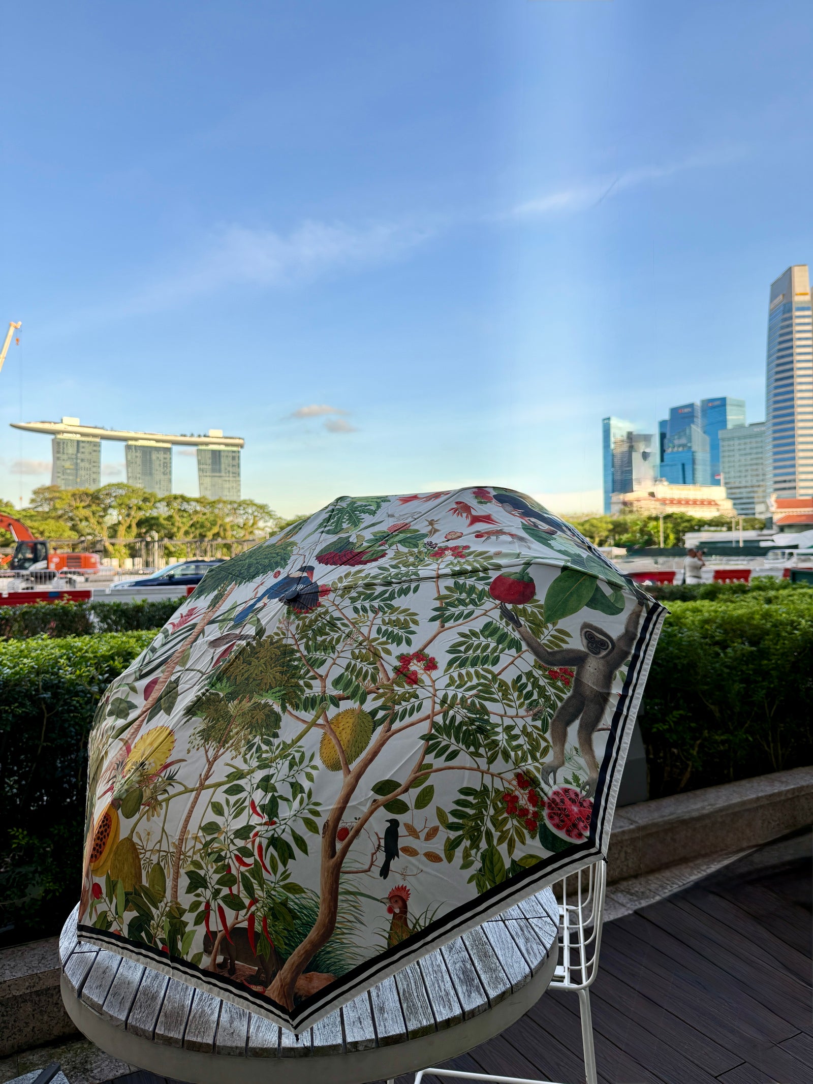 NATIONAL COLLECTION x MUSEUM MARTKET WILLIAM FARQUHAR UMBRELLA WITH WOOD HANDLE