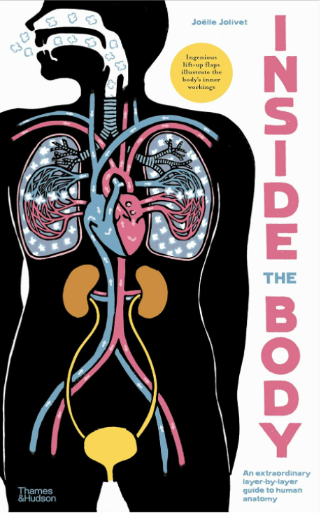 INSIDE THE BODY: AN EXTRAORDINARY LAYER-BY-LAYER GUIDE TO HUMAN ANATOMY