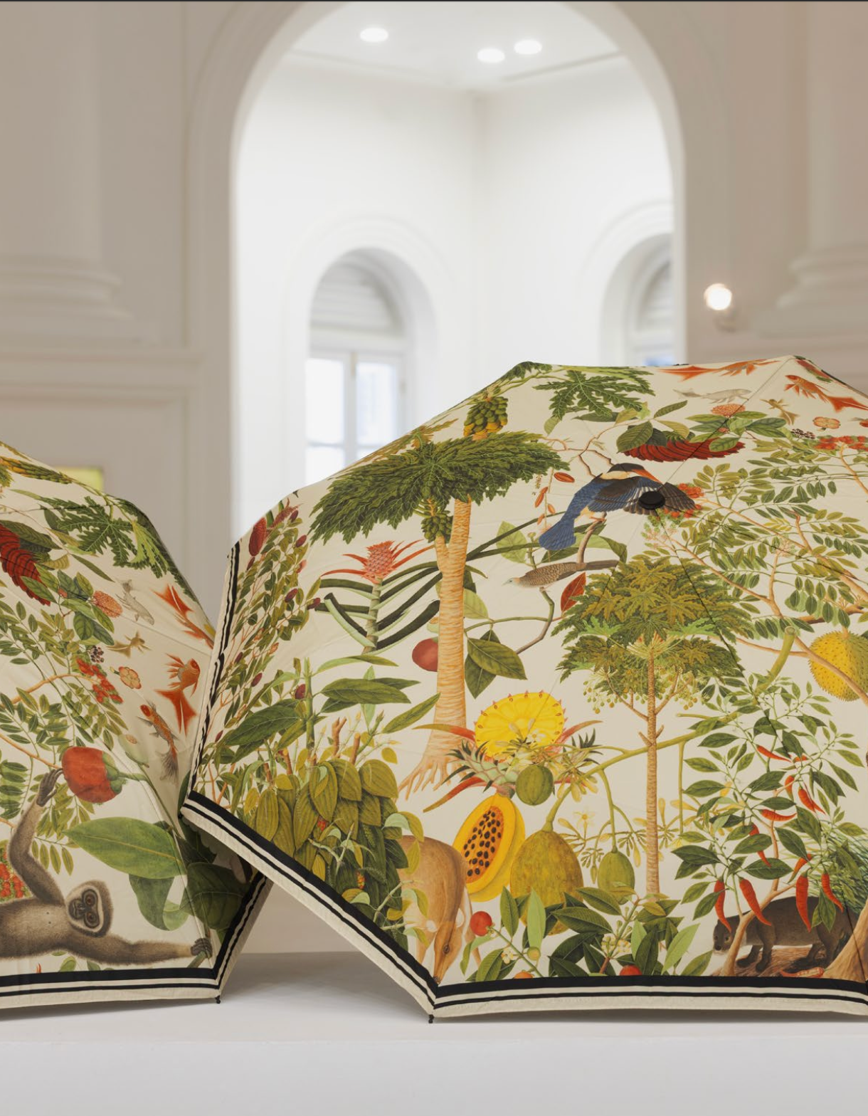 NATIONAL COLLECTION x MUSEUM MARTKET WILLIAM FARQUHAR UMBRELLA WITH WOOD HANDLE