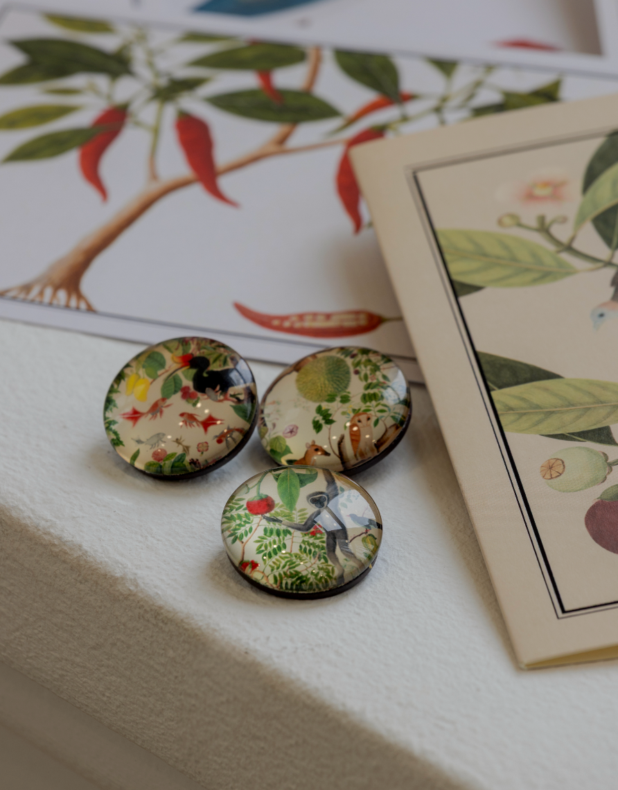 NATIONAL COLLECTION X MUSEUM MARTKET KALEIDOSCOPIC NATURE SET OF 3 GLASS MAGNETS