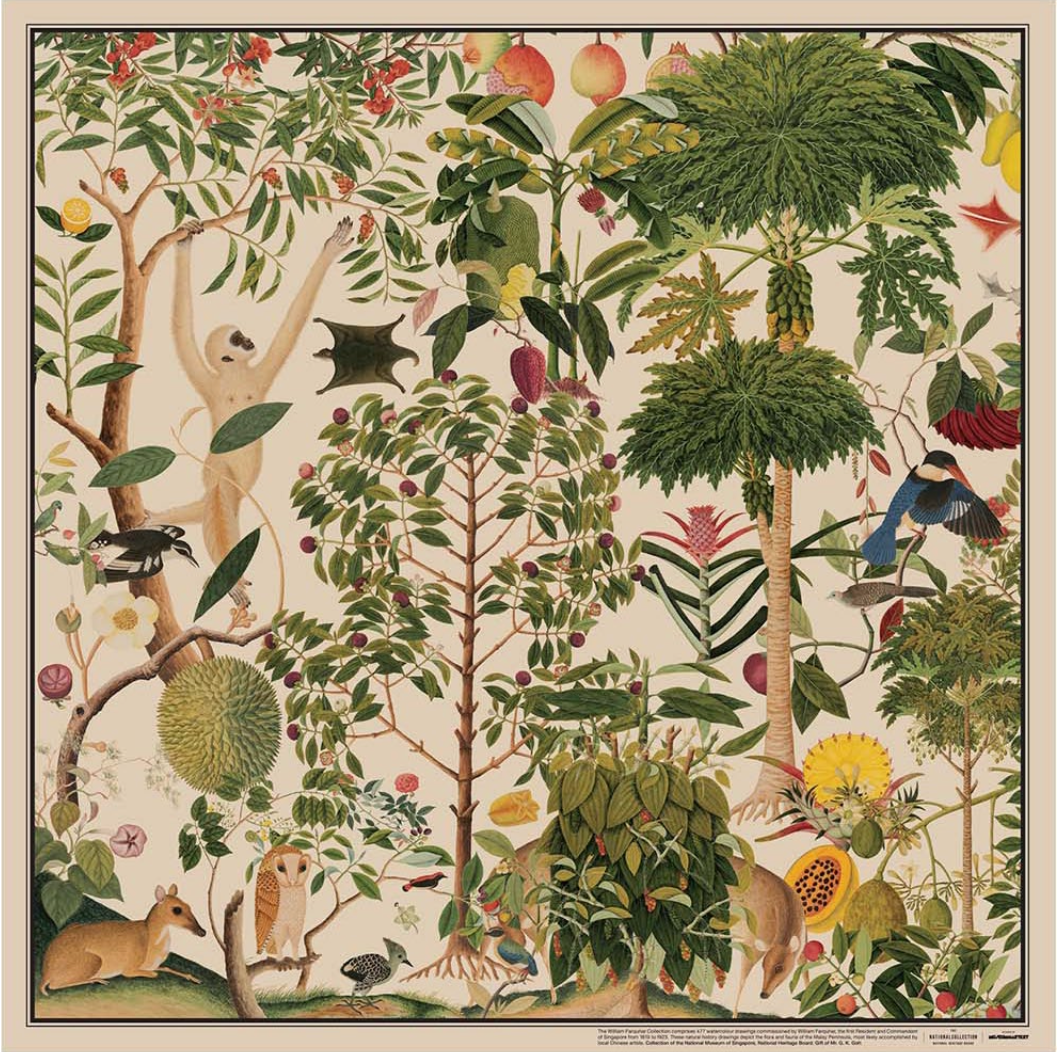 NATIONAL COLLECTION X MUSEUM MARTKET KALEIDOSCOPIC NATURE SCARF