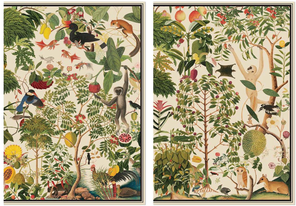 NATIONAL COLLECTION X MUSEUM MARTKET KALEIDOSCOPIC NATURE NOTEBOOK