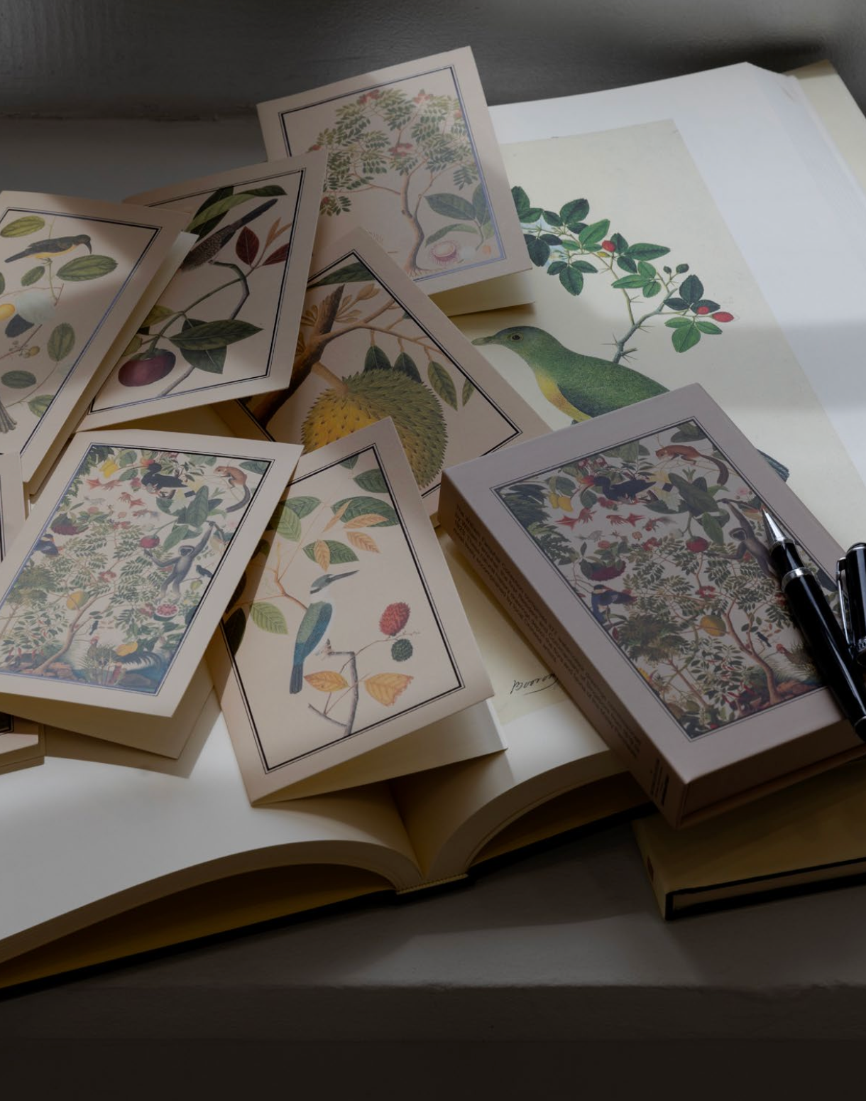 NATIONAL COLLECTION x MUSEUM MARTKET KALEIDOSCOPIC NATURE GREETING CARDS SET OF 8