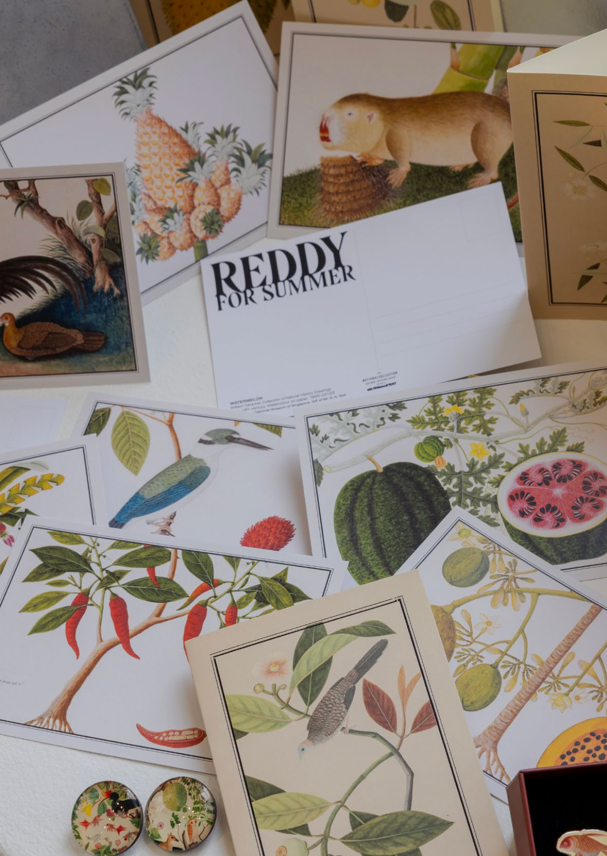 NATIONAL COLLECTION x MUSEUM MARTKET KALEIDOSCOPIC NATURE POSTCARD