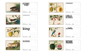 NATIONAL COLLECTION x MUSEUM MARTKET KALEIDOSCOPIC NATURE POSTCARD