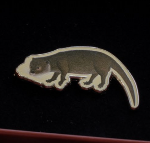 NATIONAL COLLECTION x MUSEUM MARTKET KALEIDOSCOPIC NATURE PINS