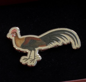 NATIONAL COLLECTION x MUSEUM MARTKET KALEIDOSCOPIC NATURE PINS